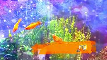 Swordtail fish caught breeding