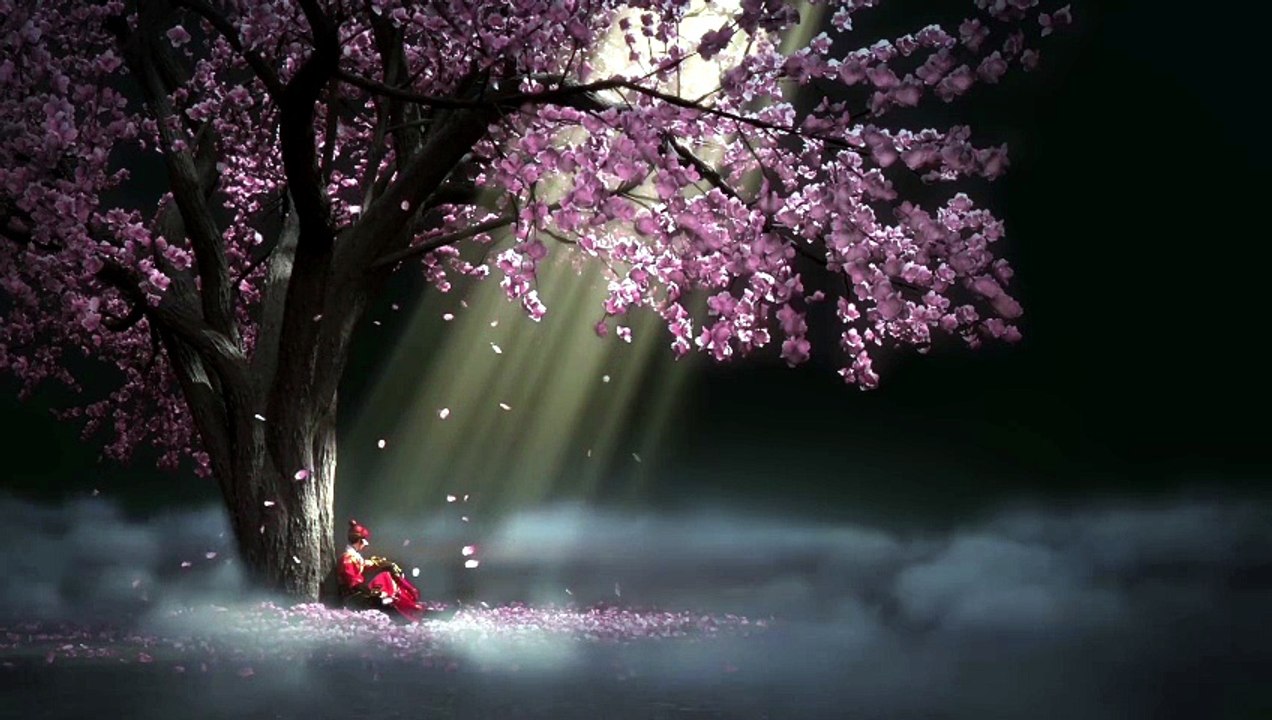 🌸 Voyage au Japon : Harpe Zen & Cerisiers en Fleurs pour une Relaxation Profonde