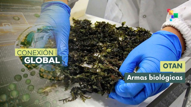 Entrevista | Rusia advierte sobre creación de armas biológicas por la OTAN