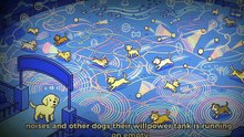 The Secret Reason Your Dog Ignores You When Called! (Dog Psychology)