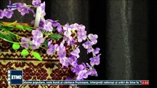 Elena Platica - Am o floare si-un boboc (Bine v-am gasit, romani - ETNO TV - 01.03.2026)