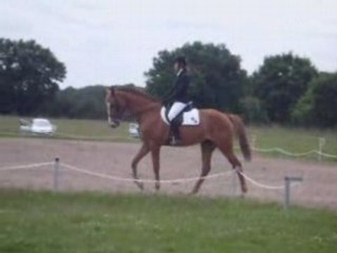 DRESSAGE - CCE AM 1 - MOULINS