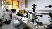 Microplásticos são encontrados em girinos na Amazônia pela primeira vez, aponta estudo da UFPA