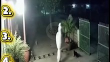Top 5 Pocong Viral