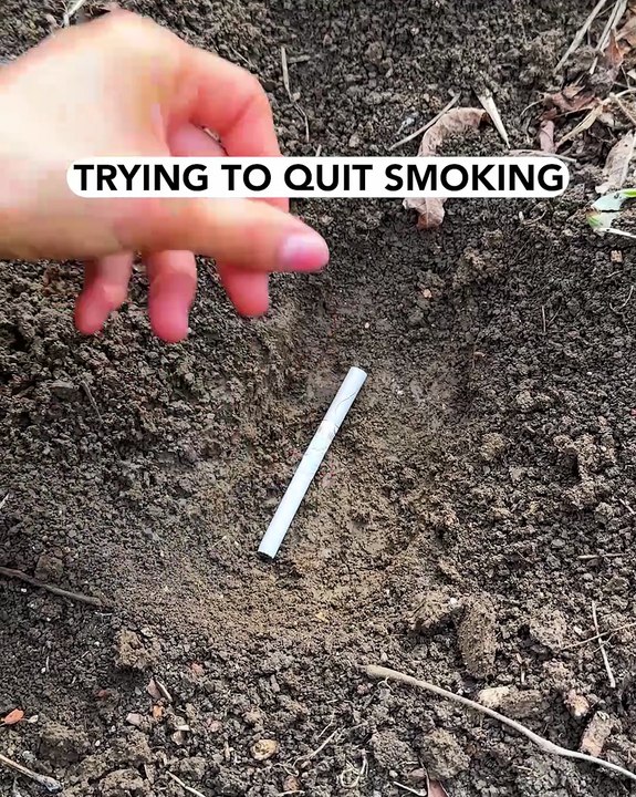 One last cigarette… or is it?🚬