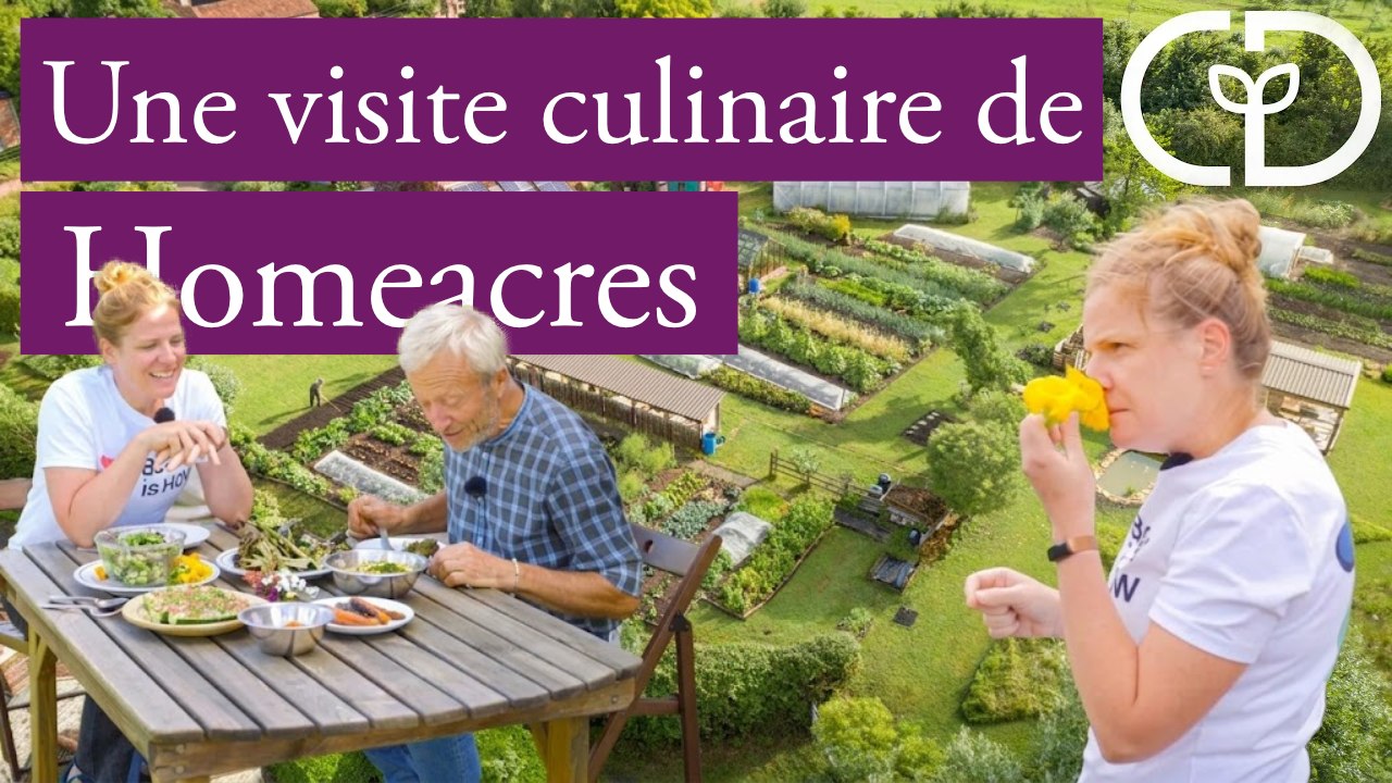Cueillettes gourmandes et cuisine créative avec la chef star Chantelle Nicholson