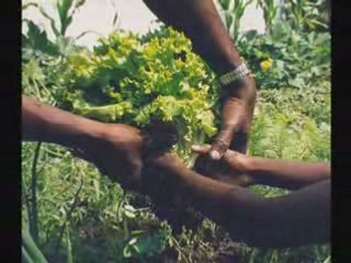 El_secreto_11_pasos para aplicarlo y conseguir lo que deseas