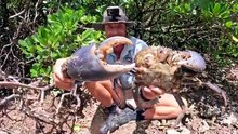 100 DAYS SURVIVING FROM THE OCEAN In Remote Australia