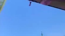 A cat fell from a stadium roof and was caught by a fan flag