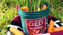 Rooster the kangaroo predicts NSW Origin win