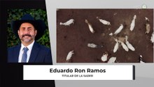 Jalisco refuerza acciones contra el gusano barrenador tras repunte con 433 casos