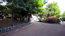 Seoul City Walk: Discover the Charm of Mok-dong District