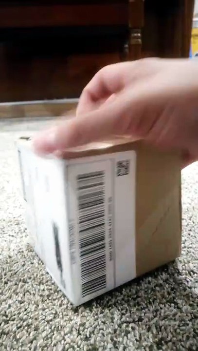 Nanco Mr. Krabs Cat Toy Unboxing!