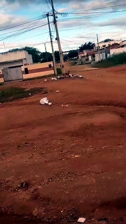 Moradores da Rua Pastor Edson, no Novo Horizonte, pedem instalação de contêiner de lixo
