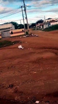 Moradores da Rua Pastor Edson, no Novo Horizonte, pedem instalação de contêiner de lixo