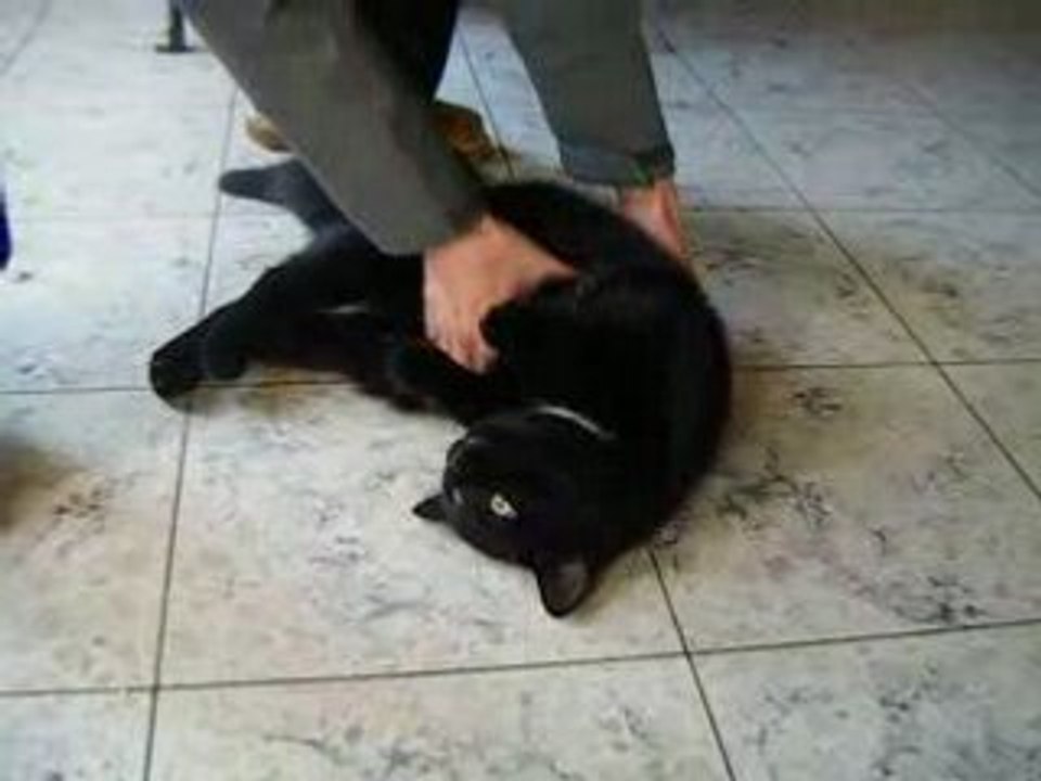 bibi est mort
