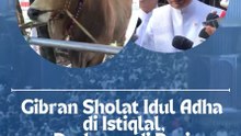 Gibran Sholat Idul Adha di Istiqlal, Prabowo di ParisSumbang Sapi Kurban 2,5 Ton