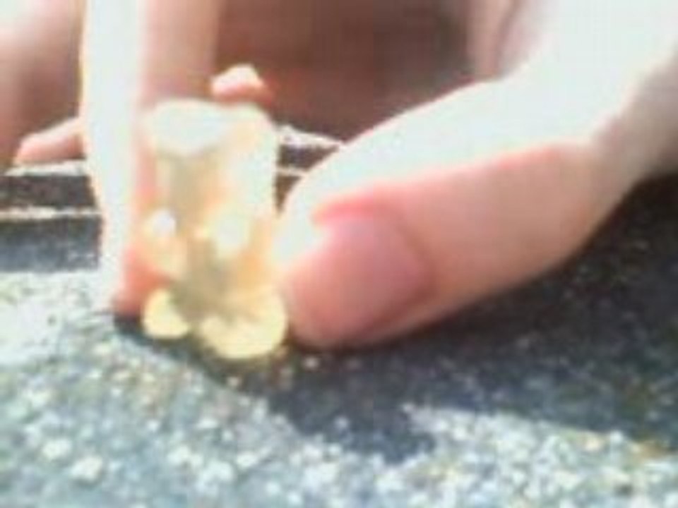 Nounours