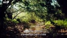 Como o Dinheiro Moldou o Mundo S01E01 E o Homem Inventou a Moeda (RTP, 2025)