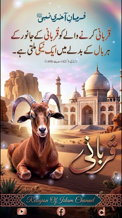 *قربانی کی فضیلت | نبی کریم ﷺ کا خوبصورت فرمان | Virtue Of Qurbani | Hadith On Sacrifice | Religion Of Islam Channel*