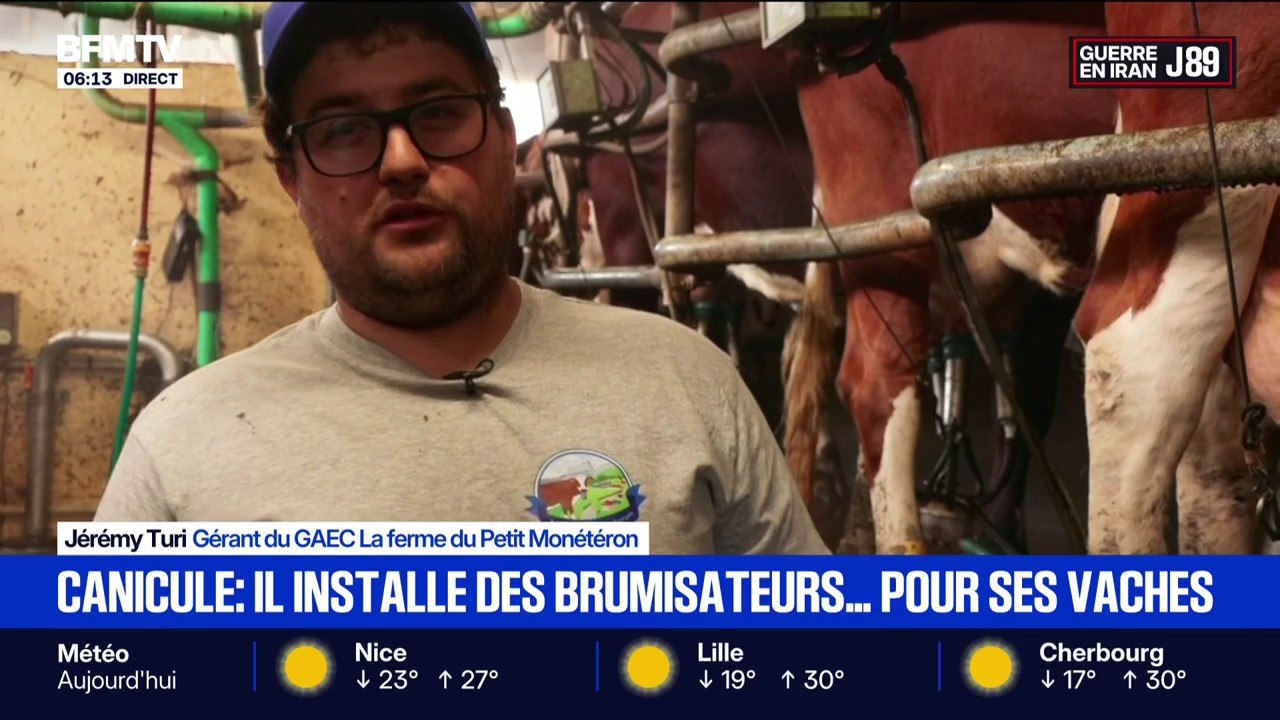 Canicule: un éleveur installe des brumisateurs...