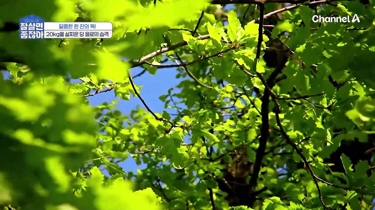 당 음료 먹었다가 20kg이나 쪘다?! 우울감에 지쳤던 그녀가 다시 몸을 회복할 수 있던 방법은?