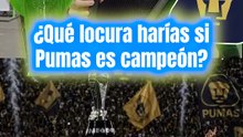 🐾🏆🔥 ¿QUÉ LOCURA HARÍAS SI PUMAS ES CAMPEÓN? 👀⚽