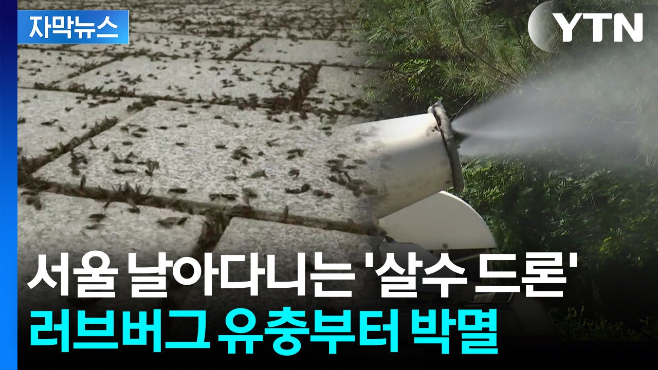 [자막뉴스] 말만 들어도 소름끼치는 '러브버그'...이미 박멸 프로젝트 풀가동 / YTN