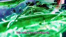 In Search of Gods Episode 12 Indonesia, English Sub