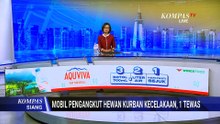 Mobil Penjemput Hewan Kurban Tabrak Dua Motor di Gunungkidul, Satu Orang Meninggal | KOMPAS SIANG