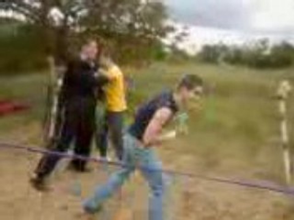 Ludo vs alex
