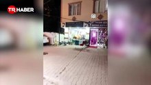 Kurbanlık tosun kuaför salonuna girdi