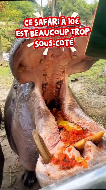 UN SAFARI EN MODE JURASSIK PARK 😳