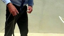 robert kennedy jr. apanha cobras com as mãos