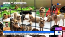 27/05/2026 - ici matin par ici Nord en vidéo