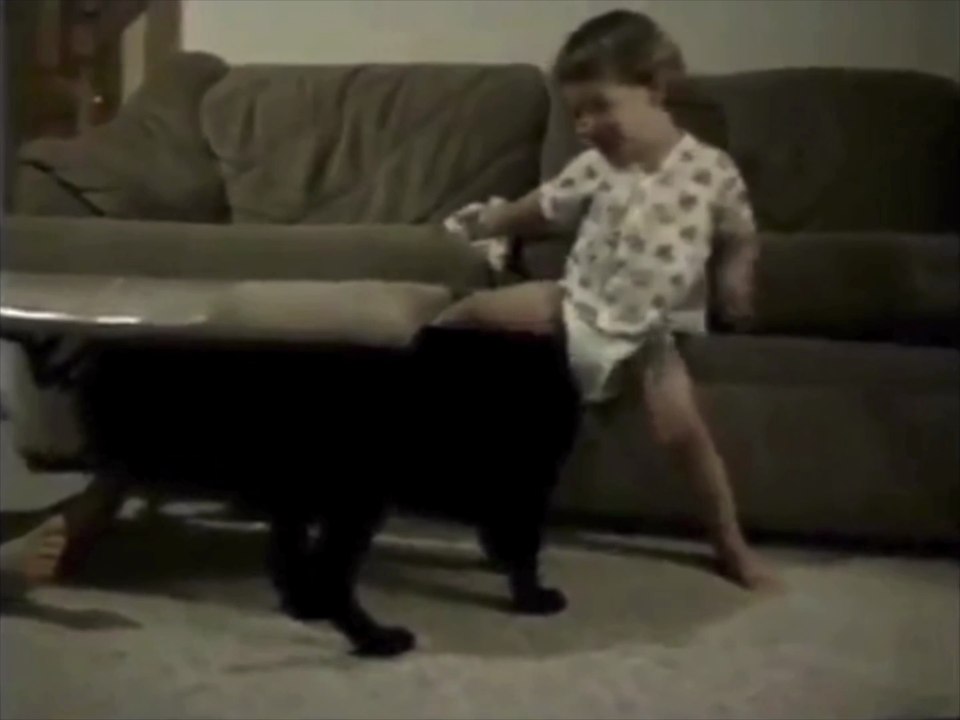 Infant-Versus-Puppy