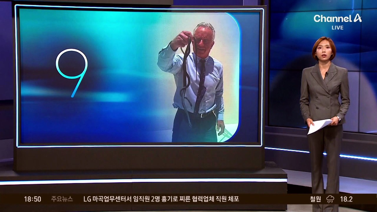 뱀 두 마리 ‘맨손’으로 잡은 터프가이 정체는?