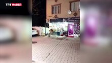 Sultanbeyli'de kaçan kurbanlık kuaför salonuna daldı