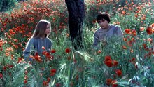 Hermano Sol Hermana Luna 1972 Español Latino - Brother Sun Sister Moon - Fratello Sole Sorella Luna