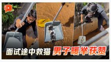 面试途中听见猫叫 男子沟救援获赞