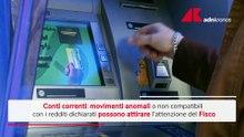 news11