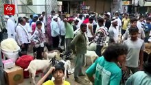 عید الاضحیٰ سے قبل ملک بھر کی بکرا منڈیوں میں قیمتوں میں بھاری اچھال