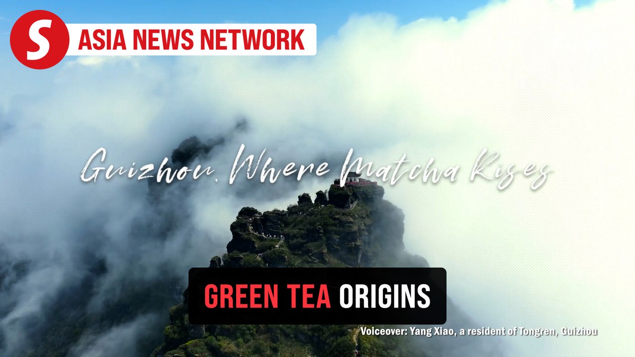 China Daily | Guizhou where matcha rises