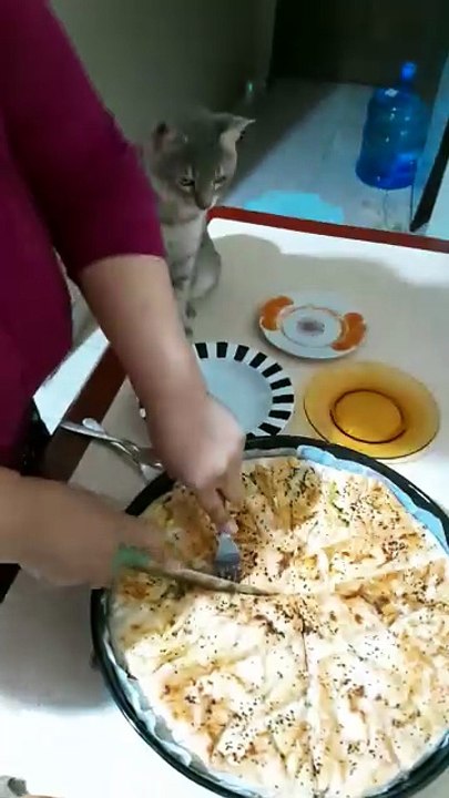 Börek Hazırlığı