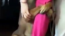 Rescued street dog refuses to leave the woman who saved him