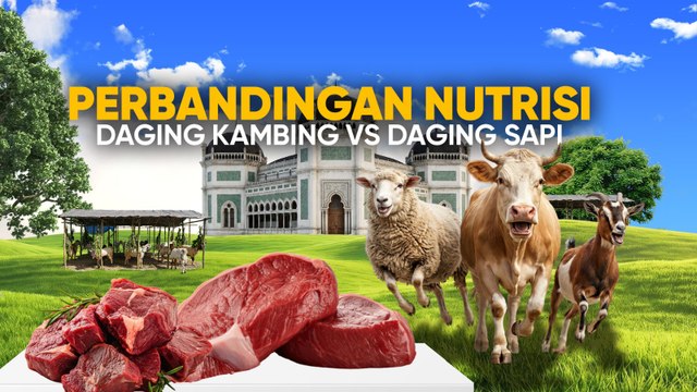 Perbandingan Nutrisi Daging Kambing dan Sapi