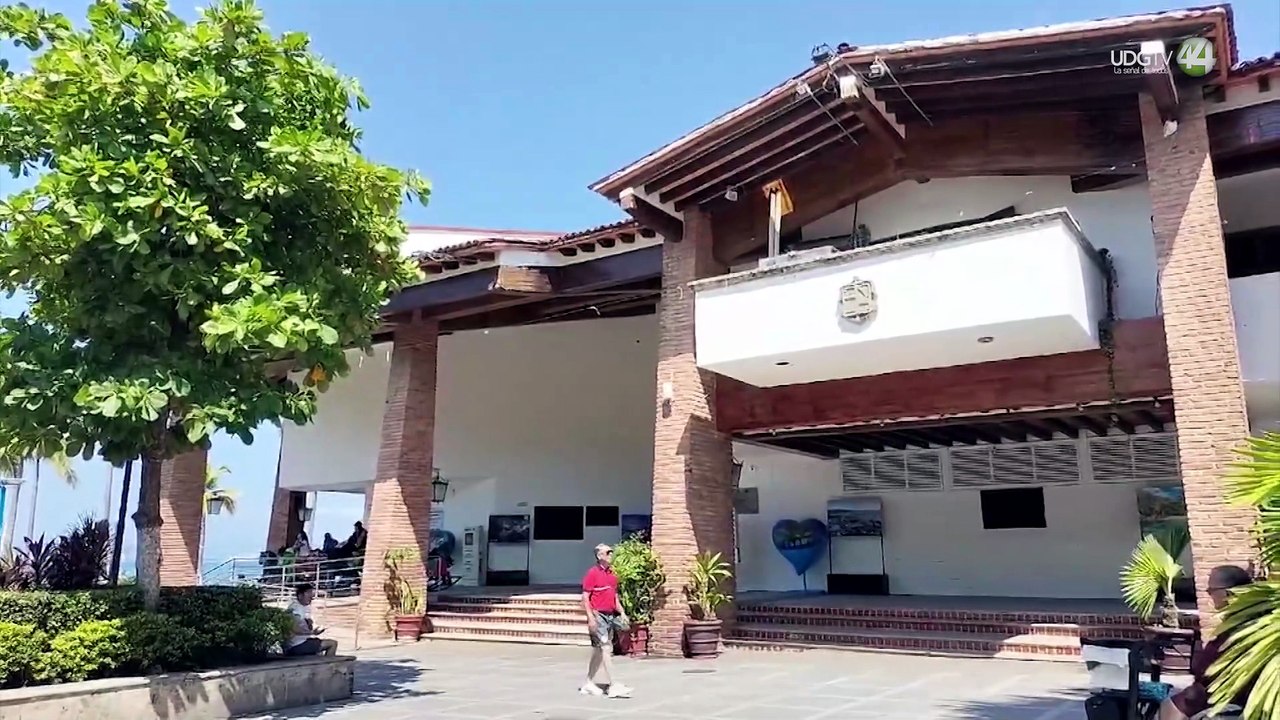 Diputada exige acciones urgentes para frenar casos de violencia contra las mujeres en Puerto Vallarta