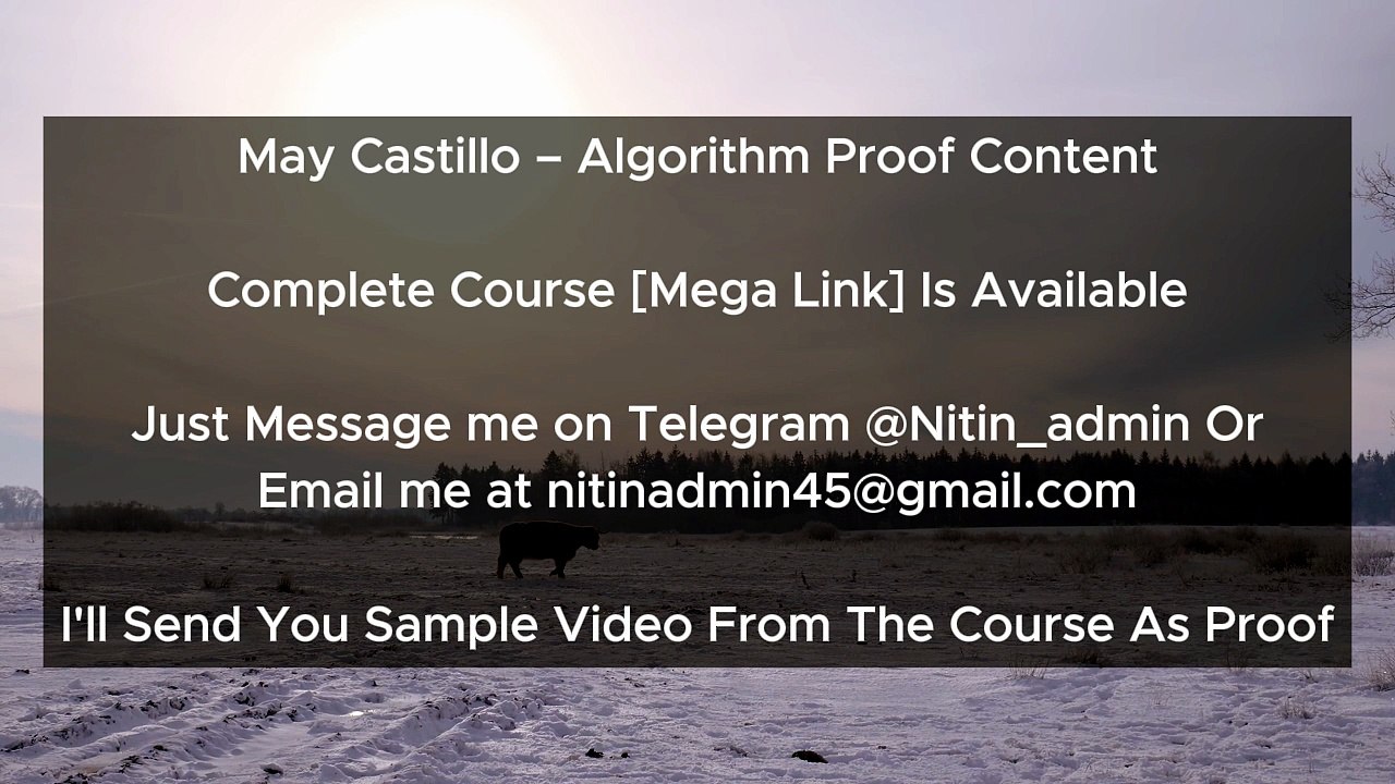 May Castillo – Algorithm Proof Content