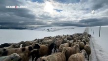 Yayla yolunda kar sürprizi