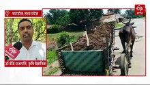 धान की रानी विष्णुभोग को चखते ही दीवाने हो जाते हैं लोग, बाजार में निकल पड़ते हैं ढूंढने